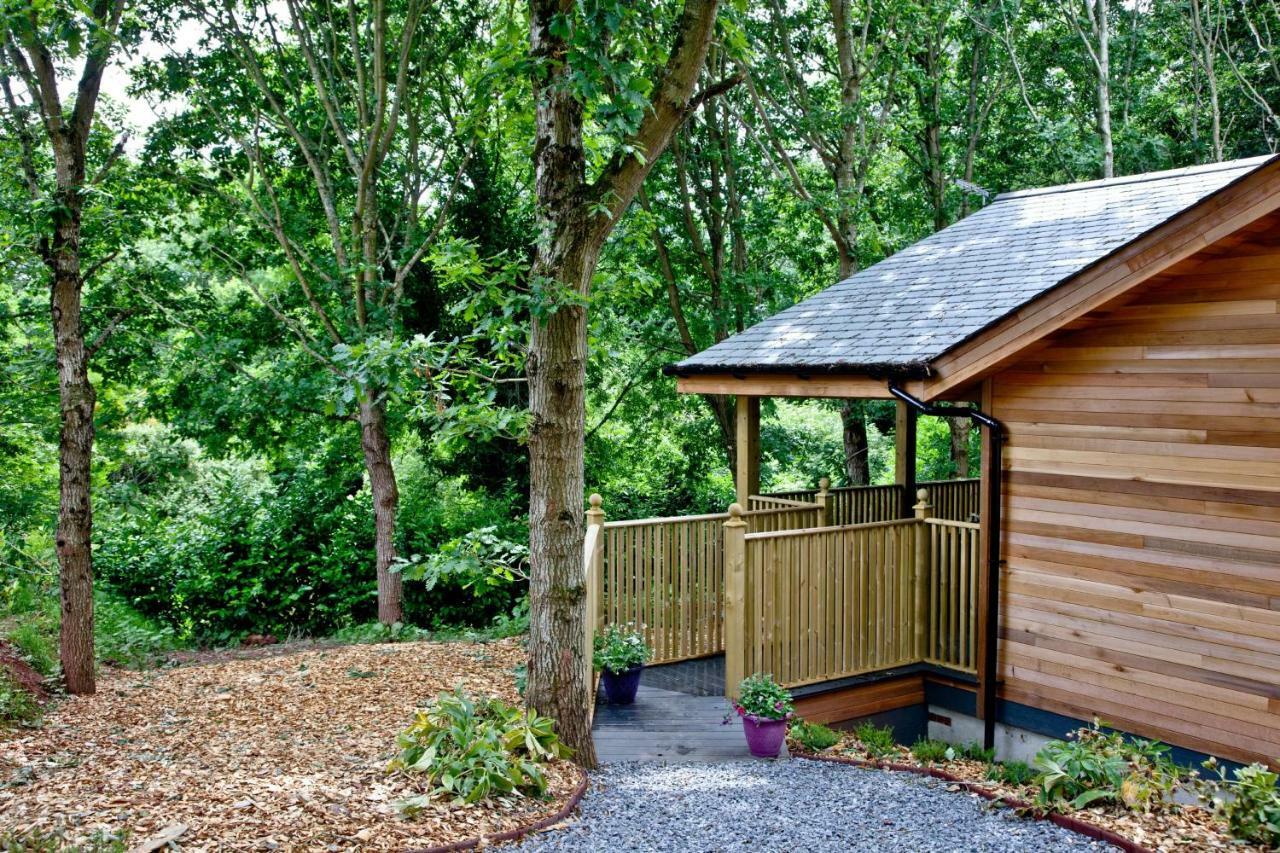 Cedar Lodge, South View Lodges, Exeter Eksteriør bilde